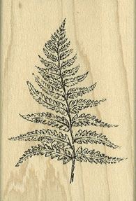 Pressed Fern