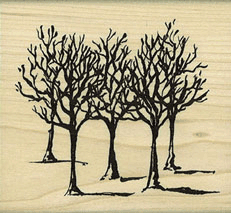 Winter Trees