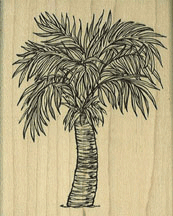 Coconut Palm