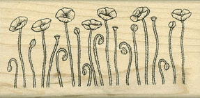 Poppy Border