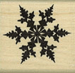 Fancy Snowflake, Medium