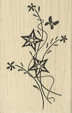 Floral Sprig