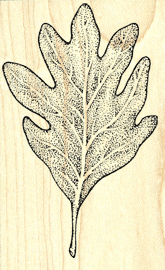 Oak Leaf